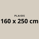 Plaids 160x250