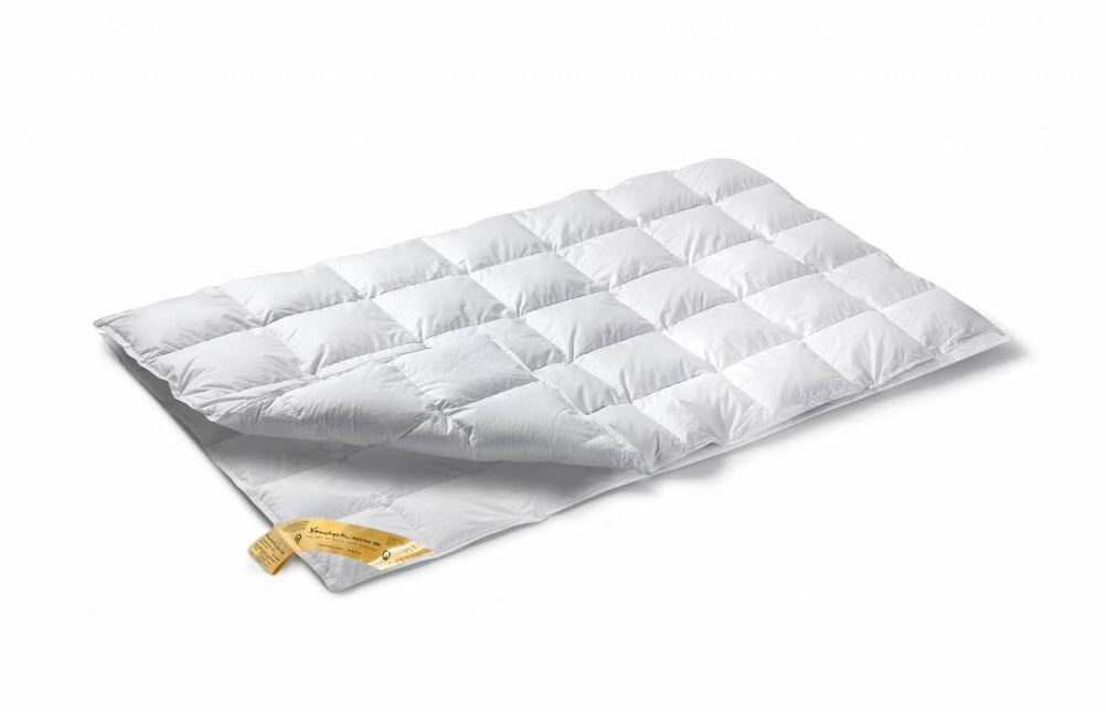 Astro 90 Duvet 4 Jahreszeiten (Down)