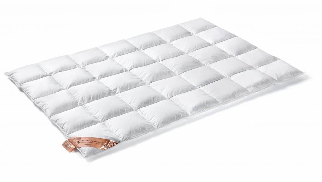 Ausgezeichnete 95 Duvet (Down 650)