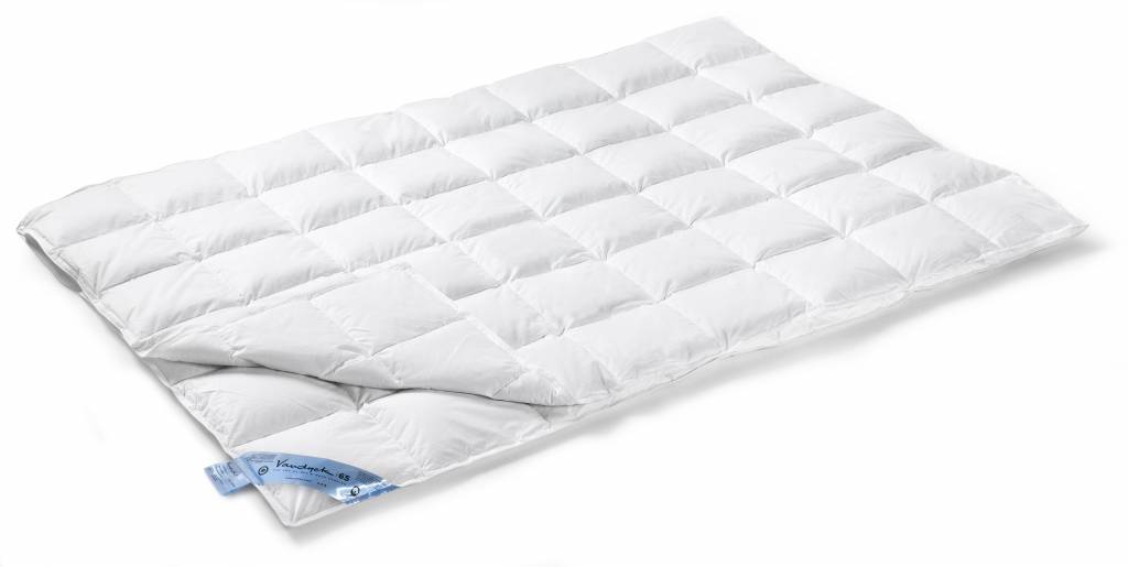 VANDYCK 65 BUSVET 4 Saisons (Down)