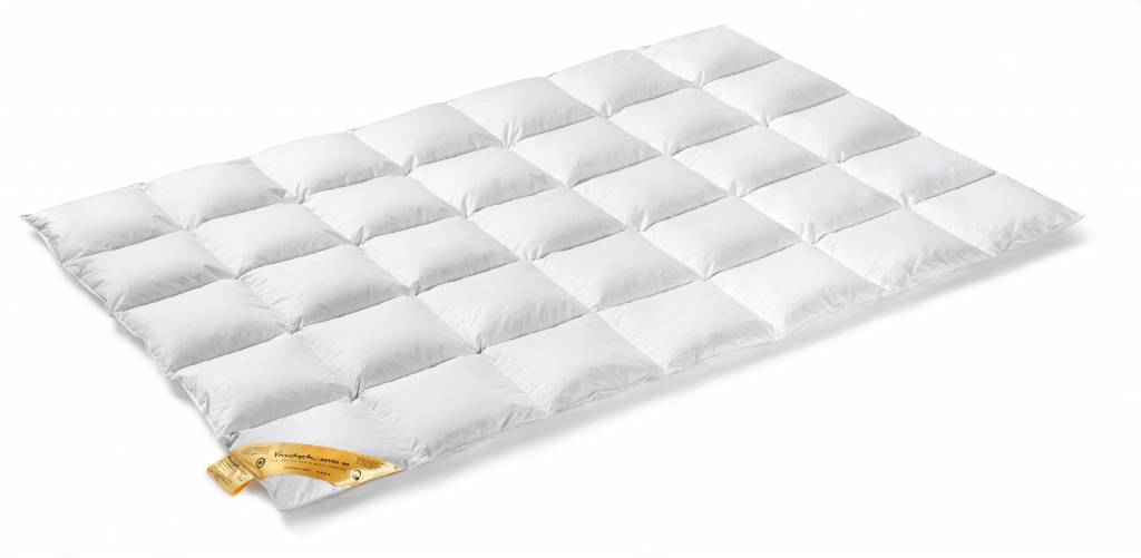 Astro 90 Duvet (Down)