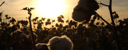 Hoeslaken materialen vergeleken: jersey, percale, satijn en meer