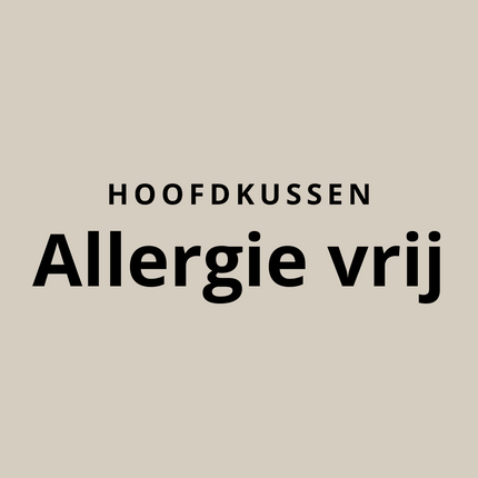 Anti allergie hoofdkussens
