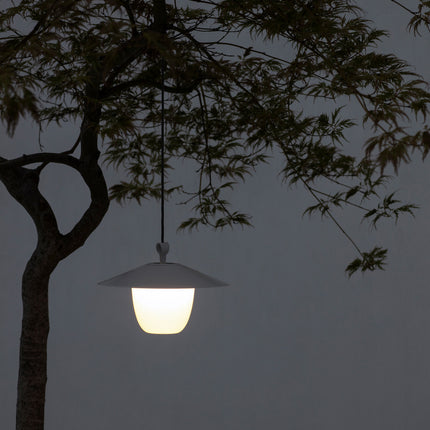 ANI LAMP LAMPAGNO SATELITE