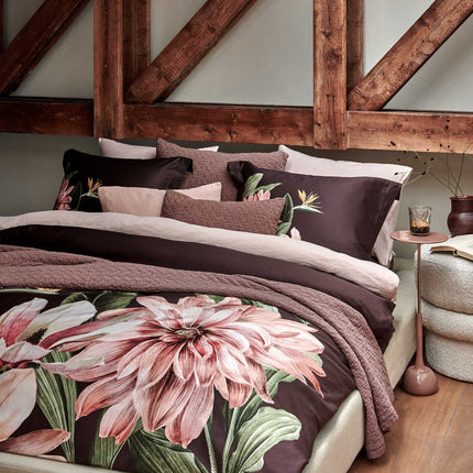 Reine 10 Betspannung Brownie 260x260 cm