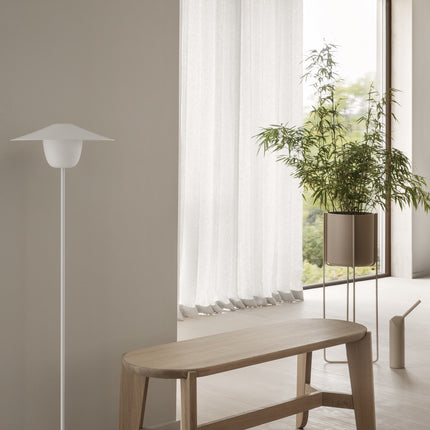 ANI LAMP LAMPAGNO SATELITE