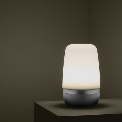 SPIRIT outdoorlamp Platinum Grey (medium)