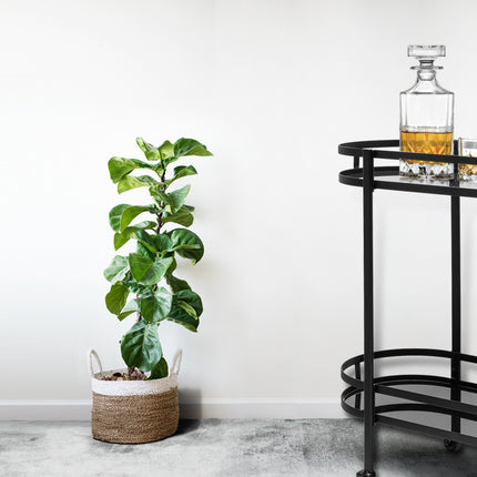Bar Whiskey Set (3-teiliger)