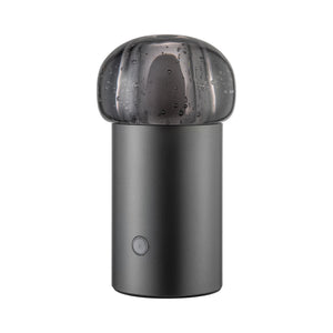IRIS lamp Gunmetal