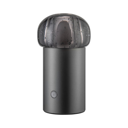 IRIS lamp Gunmetal
