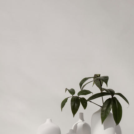 CEOLA GRANDE WHITE 13 cm