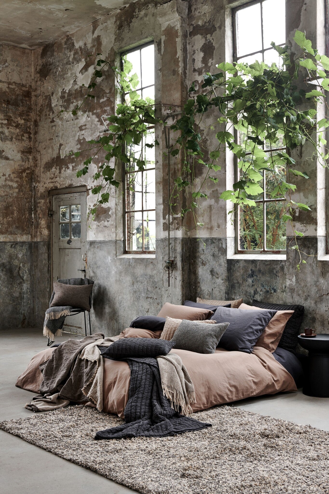 Vandyck Pure 64 Betsprey Baumwolle - schwarze Farbe