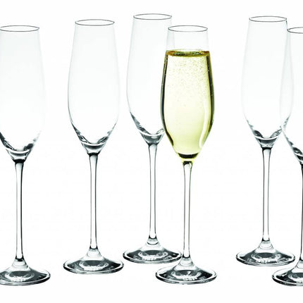 Cuvee Champagne Glass (set/6)