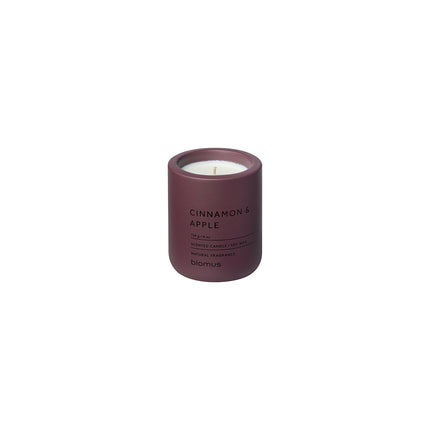 Fraga scented candle Cinnamon & Apple 114 grams